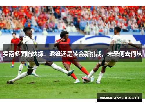 费南多面临抉择：退役还是转会新挑战，未来何去何从